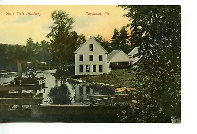 State Fish Hatchery Scene-Small Town Of Raymond-Maine-Vintage 1909 Postcard • $8.50