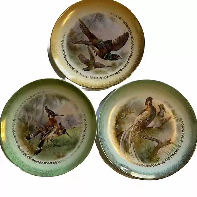 Vintage Imperial Germany Hand Painted Bird Plates. Lot Of 3 • $23.99