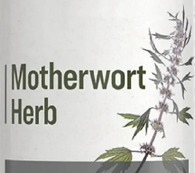 MOTHERWORT HERB - Traditional Liver Heart & Nervous System Support Tonic USA • $36.97