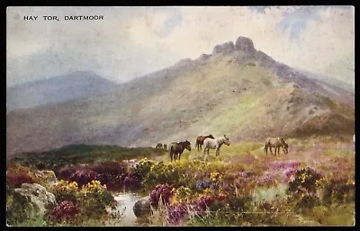 Hay Tor Wild Ponies Dartmoor Devon Valentine Postcard • £3.90