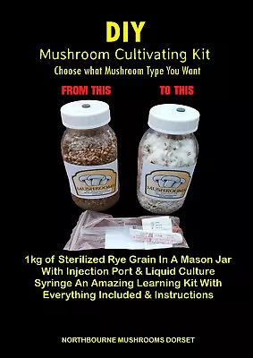 DIY Mushroom Cultivating Kit Everything Included • £22