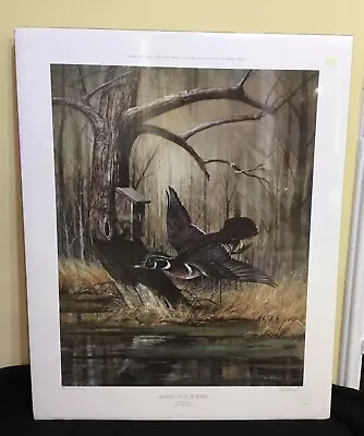 R J Mcdonald Print “summer Duck Hideaway” Wood Duck Sgnd Artist Copy Numb • $180