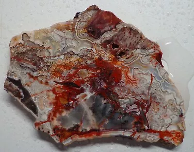 WRG- Rosetta Mexican Crazy Lace Agate Slab 58 Grams Mexico Lapidary Plume Moss • $9.99