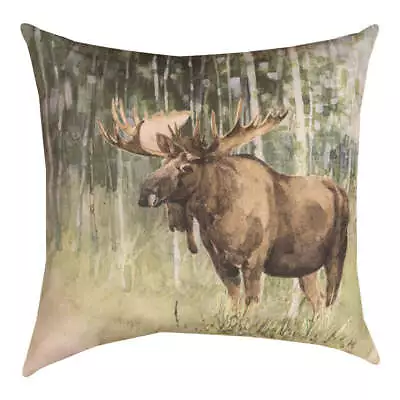 Nature's Call Moose Climaweave Pillow 18  Indoor/Outdoor • $36.20