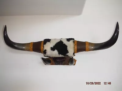 Vintage Mounted Bull Steer Horns & Hoof Wall Mount 31” Excellent Mancave Decor • $115