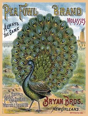 Wall Decor Poster.Home Room Interior Art Design.Peacock Bird.1881 Molasses.11642 • $29