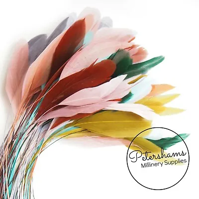 Loose Stripped Coque Feathers For Millinery & Hat Making - Pack Of 10 • £4.25