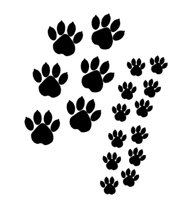 Bear Dog Footprints Stencil Card Craft Quilting Airbrush Tattoo Free Post • $16.45