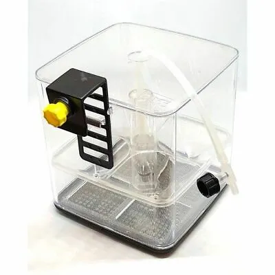 Ziss GL1 A+B Guppy & Livebearer Breeder Fry Box Nats Fish Official High Quality • $49.99