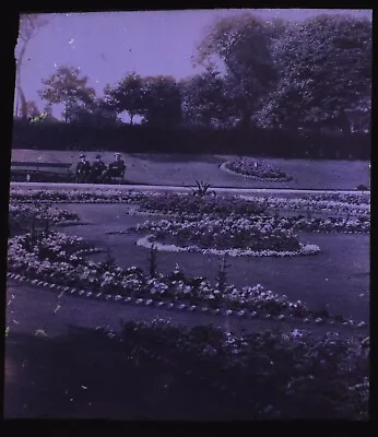 PAGET COLOUR PROCESS PHOTO 1921 FLOWERS IN PARK NO2 Magic Lantern Slide  • $61.66