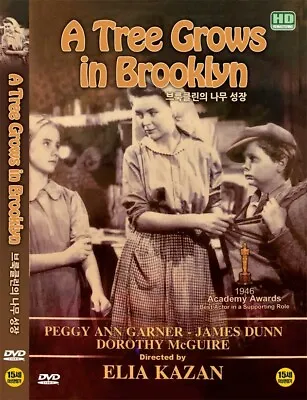 A Tree Grows In Brooklyn (1945 - Elia Kazan Dorothy McGuire) DVD NEW • $7.80
