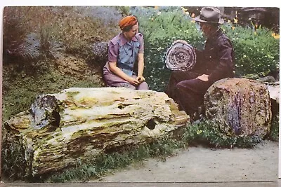 Washington WA Ellensburg Ginkgo Petrified Forest Union Oil 76 Gas Postcard Old • $0.50