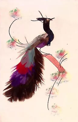 Beautiful Bird Painting Art Real Feathers Made In Mexico • $9.99