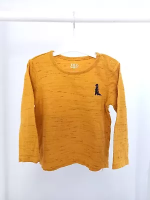 Baby Boys 12-18 Months Yellow Long Sleeve Top T-shirt Dinosaur Casual Clothes • £1.80