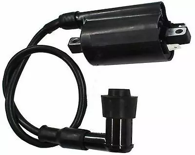 Ignition Coil For YFM700 Raptor 700 700R XV250 Virago VStar 250 Kawasaki KEF300 • $13.89