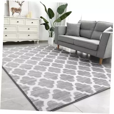  Large 5x8 Geometric Shag Modern Area Rug For Living Room 5x8 Feet Grey/White • $46.74