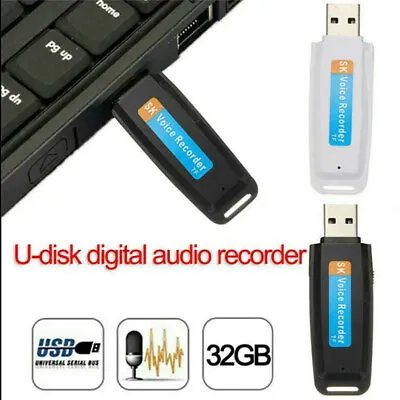 Mini USB Digital Pen Audio Voice Recorder Dictaphone 32 GB Flash Drive U-D.go • $4.02