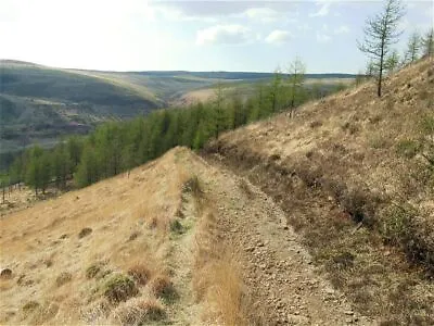 £2 • Buy Photo 6x4 Forest Path Descends To Cwm Rhondda Fach Treherbert Crossing Th C2009