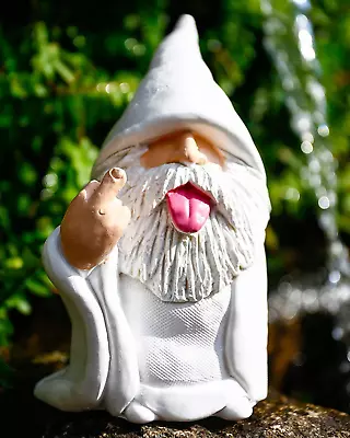 Funny Garden Gnomes Statue 3D Wizard Sticking Out Tongue Garden Ornaments Outdo • £19.35