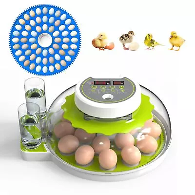 Incubators For Hatching Eggs - Holds 18 Eggs & 60 Quail Eggs - Egg Incubator ... • $125.86