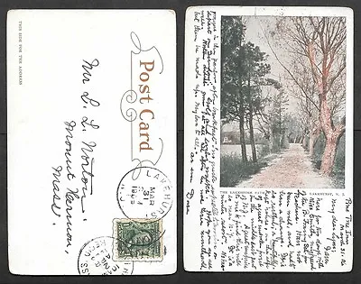 1906 New Jersey Postcard - Lakehurst - The Lakeshore Path   • $3.25