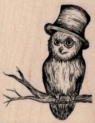 Mounted Rubber Stamp Owl In Hat Owl Stamp Bird Monocle Owl Hat Owl Birds  • $9.95