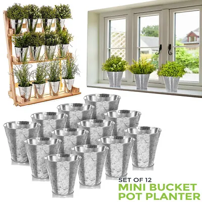 £9.95 • Buy 12Pcs Metal Plant Flower Pot Galvanised Iron Balcony Garden Herb Planter Pots UK