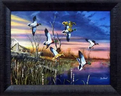 Jim Hansel  Final Approach Mallard Duck Studio Canvas Framed Print- 19  X 15  • $44.95