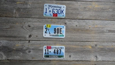 $4.99 • Buy Wyoming License Plate Light Trailer Motorcycle Style & Size All Original Wyoming
