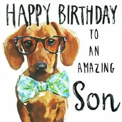 Amazing Son Birthday Card  Dachshund Sausage Dog • £3.45