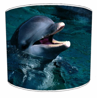 £27.99 • Buy Dolphins Lampshades, Ideal To Match Dolphins Bedding Sets & Duvet Covers.