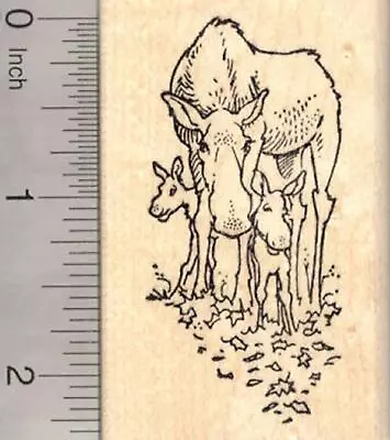 Mother Moose And Calves (Baby Moose) Rubber Stamp H20002 WM • $18