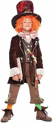 Boys Mad Hatter Costume - 4 Years • £25.28