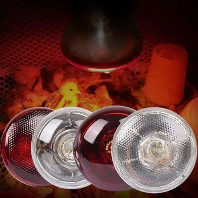 £6.96 • Buy Infrared Heat Lamp Bulb For Poultry Reptile Amphibian Pet Chicken Brooder Light