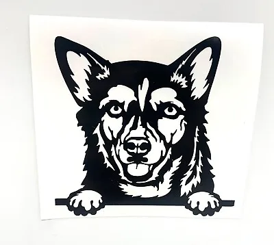 £3 • Buy Husky Vinyl Decal Sticker, Personalise, Water Bottles, Car Decal & Much More...