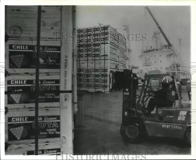 1990 Press Photo Nearly 80000 Boxes Of Chilean Fruit Unloaded Port Of Houston • $15.99