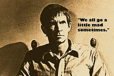 NORMAN BATES AKA ANTHONY PERKINS Quote From PSYCHO Movie MAD Man 20x30 1960 • £9.63