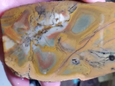 Blue Mountain Porcelain  Picture Jasper Rough Oregon 200g Morrisonite Quality • $62