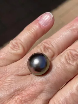 $210 • Buy 15mm Genuine Tahitian Black Pearl, Drop Aubergine Green Peacock, Undrilled
