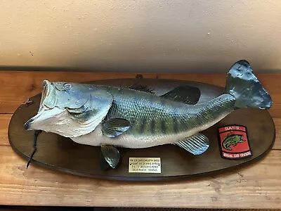 Mounted Fish • $125