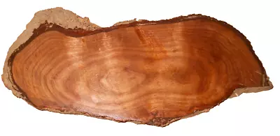 FIGURED MYRTLEWOOD SLAB TURNING CRAFTING WOODWORKING APPROX 18x7.5x2 IN • $22.50