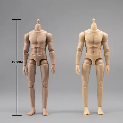 1/12 Male Normal/Suntan Skin Flexible 6inch Muscular Male Action Figure Body Toy • $16.16