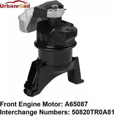 Complete Hydraulic Front Motor Mount For 2012 -2015 Honda Civic 1.8L Auto • $43.99