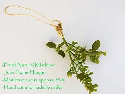 Fresh Mistletoe With Jute Hanger 5 -8  • $6.95