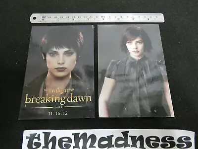 $2.49 • Buy Lot 4x6 Celebrity Photos/Pics Ashley Greene Twilight Saga Alice Cullen CBGB