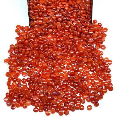 200 Pcs Natural Italian Coral 2.5mm Round Loose Untreated Gemstone Wholesale Lot • $21.99