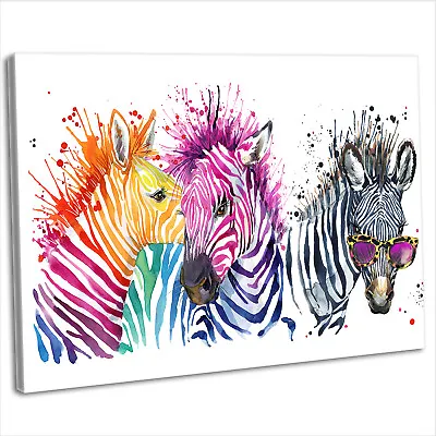 Multicoloured Zebra Abstract Watercolour Canvas Print Framed Wall Art Picture • £17.99