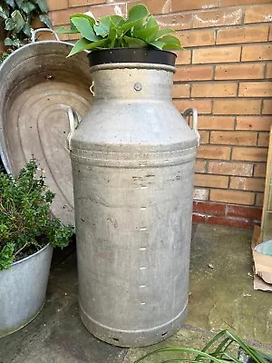 Zinc Milk Churn/ Planter • £60