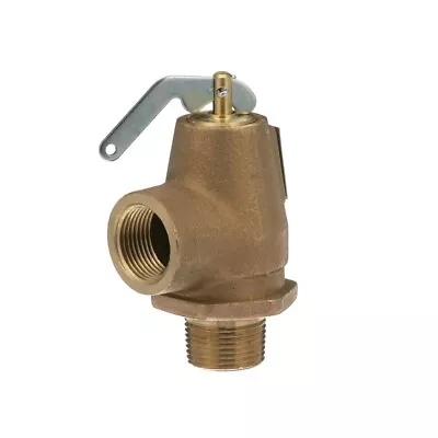 Safety Valve 3/4  M X 3/4  F For Garland - Part# 076005-1 • $105.17