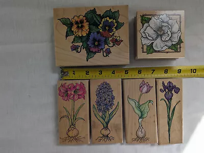 6 New Wood Rubber Ink Stamp Art Craft 5  Flower Floral Nature Garden Magnolia Ca • $9